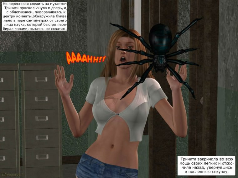 arachne_pg028-1